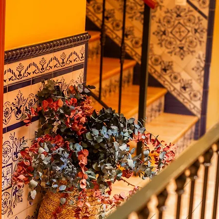 Macarena Guest house *