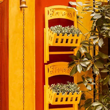 Macarena Seville